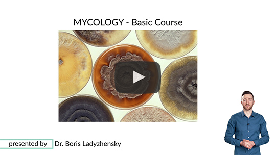 Online-Kurs zur Mykologie | Introduction (0/13)